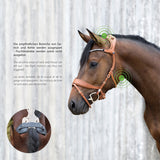 Freedom 2 Bridle with slide & lock