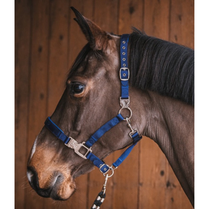 Fager Smart Halter Nylon Blue